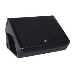 CX14A 14in Coaxial Stage Monitor, Two Way, 900W + 300W Output Power